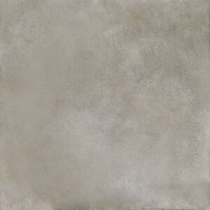 Timeless Silver 60x60 Rett