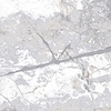 Golden Age White 30x60 rett