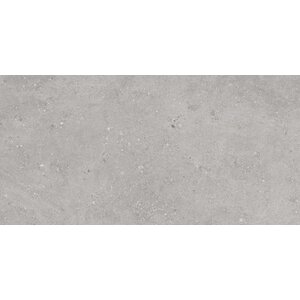 Terrastegel Flax Grey 60x120x2 rett