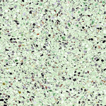 Medley terrazzo Leaf 60x60 rett EnergieKer Medley terrazzo Leaf 60x60 rett