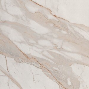 Roma Stone Calacatta Oro mat 80x80 rett