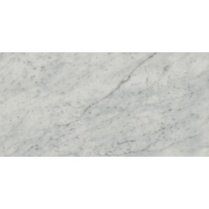 Exigo Carrara gepolijst 30x60 rett