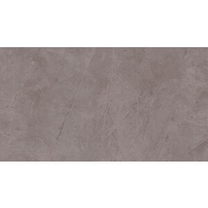 Exigo Jolie Grey wandtegel gepolijst 30,5x56 rett