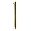 Best-Design Nancy plafondarm 30cm RVS Mat goud