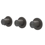 IVY Concord afbouwdeel inbouwthermostaat 2 stopkranen symmetry RVS 316 - Geborsteld carbon Black PVD IVY IVY Concord afbouwdeel inbouwthermostaat 2 stopkranen symmetry RVS 316 - Geborsteld carbon Black PVD