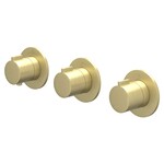 IVY Pact afbouwdeel inbouwthermostaat 2 stopkranen symmetry - Geborsteld Mat Goud PVD IVY IVY Pact afbouwdeel inbouwthermostaat 2 stopkranen symmetry - Geborsteld Mat Goud PVD