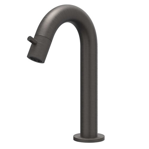 IVY Concord fonteinkraan gebogen RVS 316 - Geborsteld carbon Black PVD IVY IVY Concord fonteinkraan gebogen RVS 316 - Geborsteld carbon Black PVD