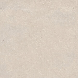 Porcelanosa Porcelanosa Coral | 80x80 | Caliza Porcelanosa Coral | 80x80 | Caliza