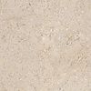 Porcelanosa Dorcia | 45x120 cm | Marfil