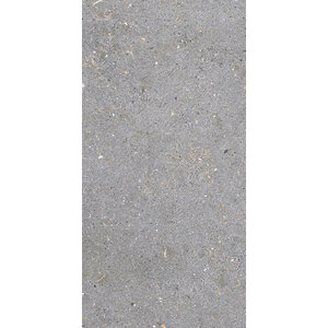 Porcelanosa Porcelanosa Matika | 45x90 cm | Acero Porcelanosa Matika | 45x90 cm | Acero