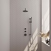 Brauer Gunmetal Edition thermostatische inbouw regendouche | Geborsteld Gunmetal PVD | Staaf handdouche | 20 cm | Gebogen Wandarm | Ja