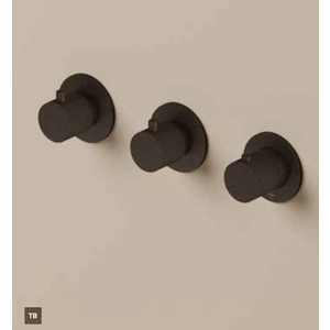 HotBath Hotbath Guy Row GY7067REXT afbouwdeel voor inbouwthermostaat met 2 stopkranen - Geborsteld messing PVD Hotbath Guy Row GY7067REXT afbouwdeel voor inbouwthermostaat met 2 stopkranen - Geborsteld messing PVD