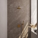 Brauer Brauer Gold Carving thermostatische inbouw regendouche 3-weg rond SET 73 met 20 cm douchekop en rechte muurarm en staaf handdouche en doucheslang en wandaansluitbocht goud geborsteld PVD | Geborsteld goud PVD | 20cm | Nee | Rechte wandarm | Staafmodel