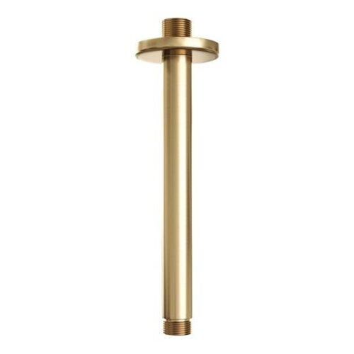 Brauer Brauer Gold Carving thermostatische inbouw regendouche 3-weg rond SET 77 met 20 cm douchekop en plafondarm en staaf handdouche en doucheslang en wandaansluitbocht goud geborsteld PVD | Geborsteld goud PVD | 20cm | Nee | Plafondbuis | Staafmodel