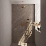 Brauer Brauer Gold Carving thermostatische inbouw regendouche 3-weg rond SET 83 met 20 cm douchekop en plafondarm en 3-standen handdouche en doucheslang en wandaansluitbocht goud geborsteld PVD | Geborsteld goud PVD | 20cm | Nee | Plafondbuis | 3-standen handdou