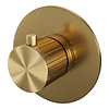 Brauer Stripe losse inbouwthermostaat met in- en afbouwdelen goud geborsteld PVD | Geborsteld goud PVD