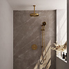 Brauer Stripe thermostatische inbouw regendouche 3-weg rond SET 48 met 25 cm douchekop en plafondarm en 3-standen handdouche en doucheslang en geïntegreerde glijstang goud geborsteld PVD | Geborsteld goud PVD | Ja | Plafondbuis | 3-standen handdouche