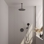 Brauer Brauer Gunmetal Carving thermostatische inbouw regendouche 3-weg rond SET 84 met 30 cm douchekop en plafondarm en 3-standen handdouche en doucheslang en wandaansluitbocht gunmetal geborsteld PVD | Geborsteld gunmetal PVD | 30cm | Nee | Plafondbuis | 3-sta