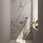 Brauer Brauer Brushed Carving thermostatische inbouw regendouche met drukknoppen SET 57 met 20 cm douchekop en gebogen muurarm en 3-standen handdouche en doucheslang en wandaansluitbocht RVS geborsteld PVD | Geborsteld RVS PVD | 20cm | Nee | Gebogen wandarm | Ro