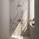 Brauer Brauer Brushed Carving thermostatische inbouw regendouche met drukknoppen SET 62 met 30 cm douchekop en rechte muurarm en staaf handdouche en doucheslang en geïntegreerde glijstang RVS geborsteld PVD | Geborsteld RVS PVD | 30cm | Ja | Rechte wandarm | Sta