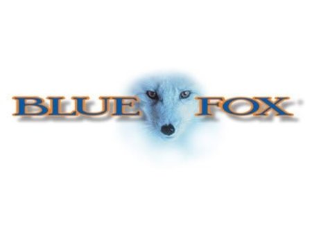 Blue Fox