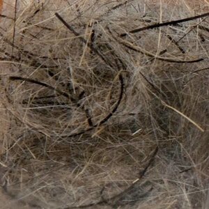 Orvis Hare'E Wiggle Dub Hare'E Wiggle Dub