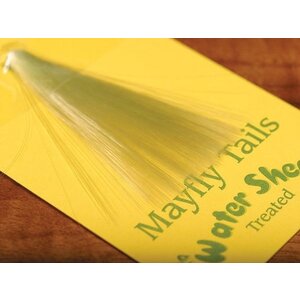 Mayfly Tails
