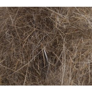 Argentinian Long Hare Dubb