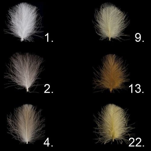 Swiss CDC CDC Feathers Ultra Select XL