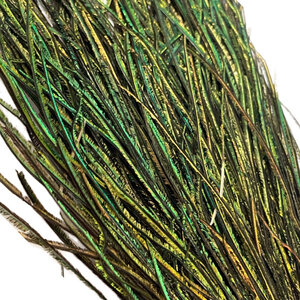 Fly Scene Pfauengras Pfauengras