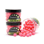 Carpelicious Fluo Pop-Ups