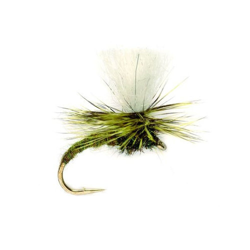 Fulling Mill Klink Light Olive