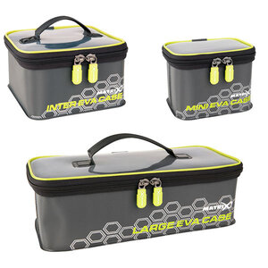 EVA Case