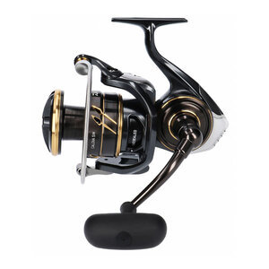 Daiwa Caldia SW Caldia SW