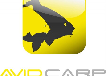Avid Carp