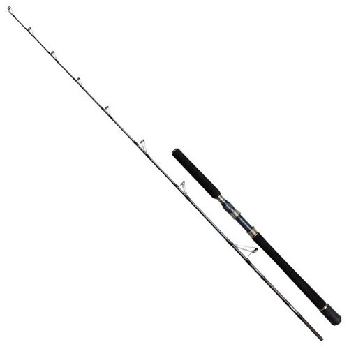 Penn Battalion Solid Boat Rod