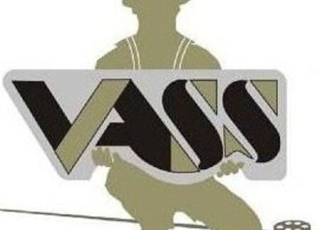 Vass