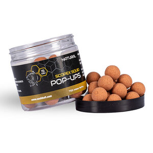 Nash Scopex Squid Pop-Ups Scopex Squid Pop-Ups