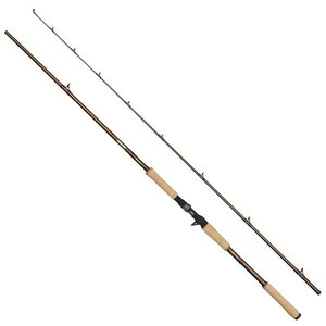 Beast Pro Casting Rod