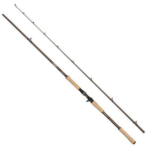 Abu Garcia Beast Pro Casting Rod