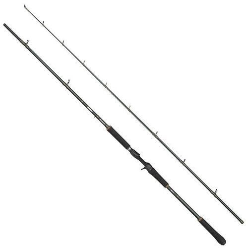 Abu Garcia Beast X Extreme Casting