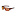 Eyewear Revo