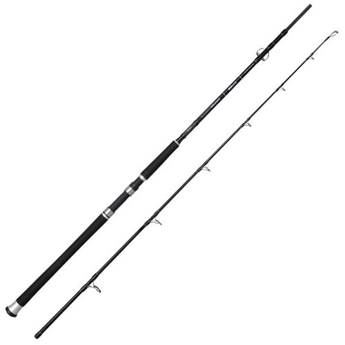 Spro Salty Beast Jig Fast Rod