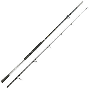 Big Lure Spin Rod