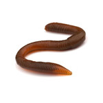 Spro Freestyle Twitch Worm