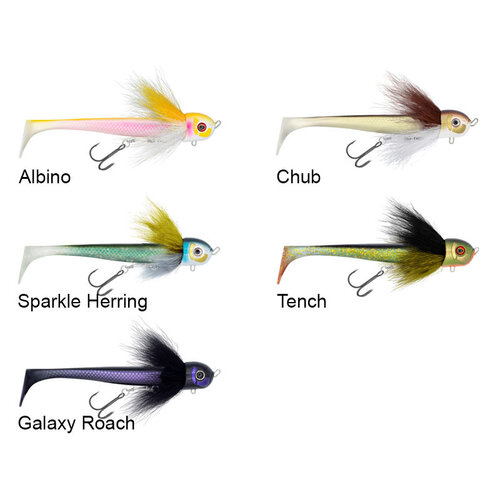 Black Bay Blackbug Beetle Junior