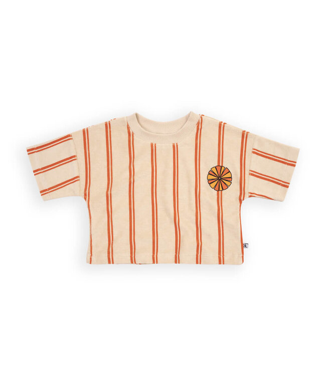 Stripes flame - cropped t-shirt wt embroidery  by CarlijnQ