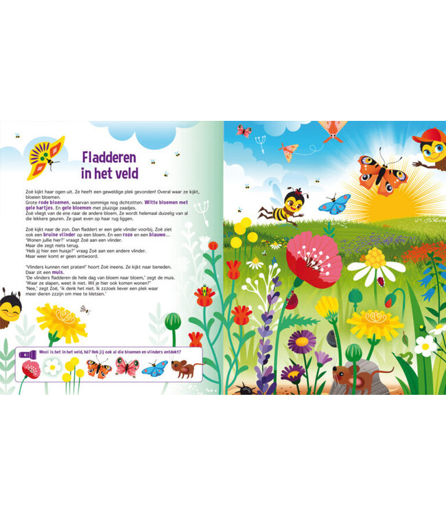 Zaklampboek - speuren in de bijenwereld