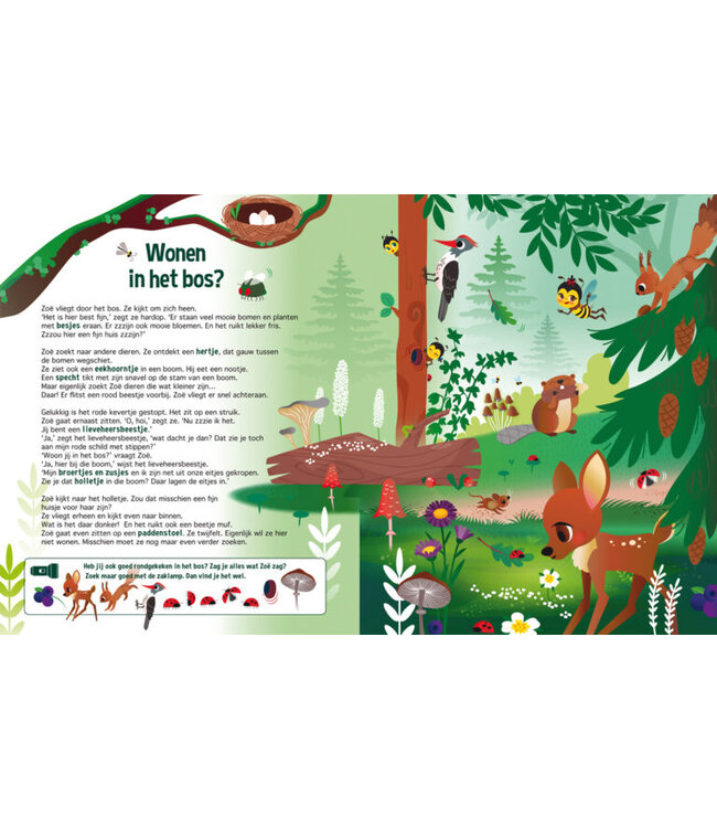 Zaklampboek - speuren in de bijenwereld