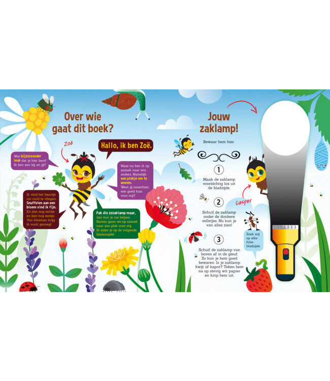 Zaklampboek - speuren in de bijenwereld